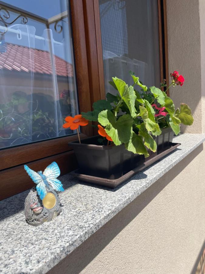 Hotel Benige Vendeghaz Demjén Zewnętrze zdjęcie