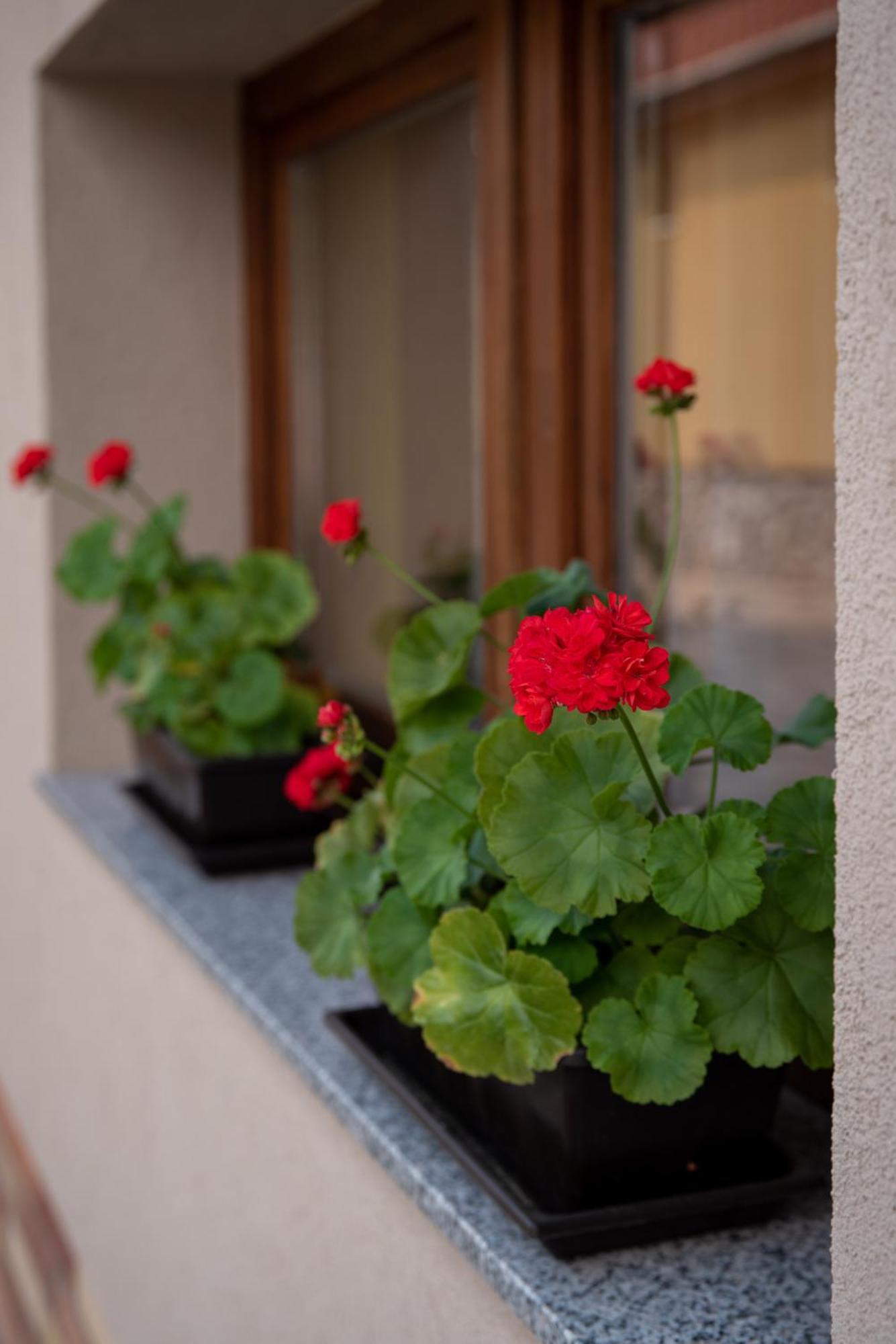 Hotel Benige Vendeghaz Demjén Zewnętrze zdjęcie